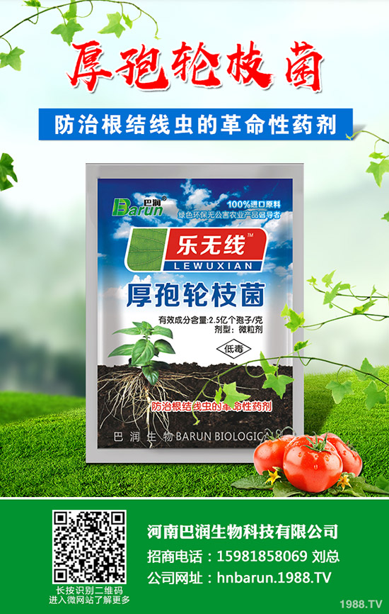 ��֦���~��ô�޼�����֦���~�޼�������