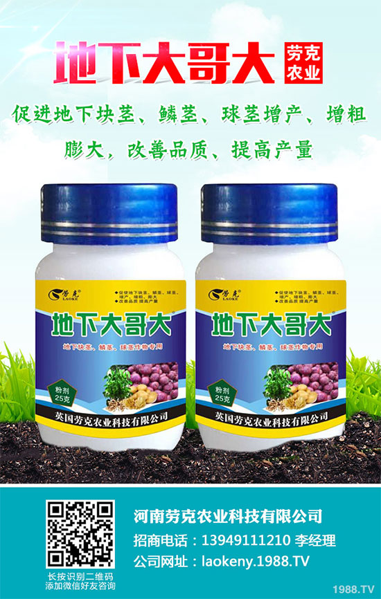 �������Щ�I�B(y��ng)�rֵ���Խ������Щ��̎����˵Ĺ�Ч�c����