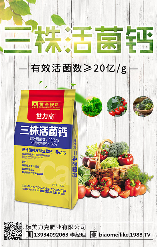 ���S��ʲô�r(sh��)������������S�������ע�����(xi��ng)��