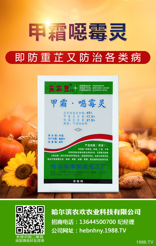 ��Щ������ɣ����P����ɣ����P�����μ���