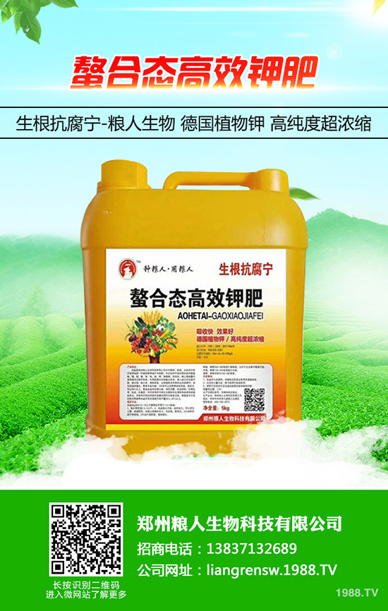 ���y�����ʩ�ʣ����y���߮a(ch��n)ʩ��Ҫ�c(di��n)��