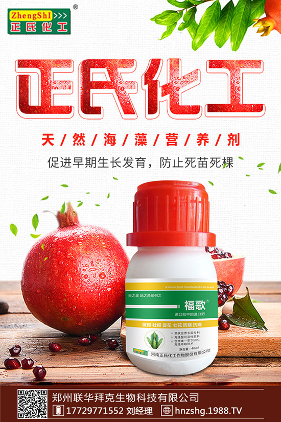 ���y����ʲô���������y���Ĺ�Ч�cʳ�ý�����