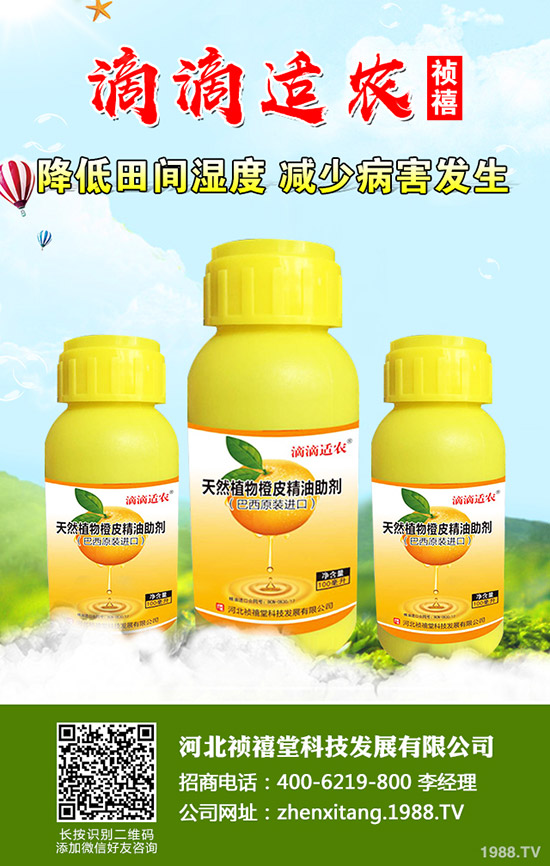 �＾��ݮ��ι������ܸ߮a(ch��n)���＾��ݮ��ֲ�������g(sh��)��