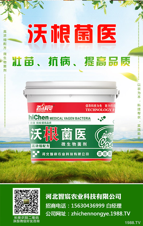 �Ծ��Ĳ�����Щ��̎�����Ĳ˵Ĺ�Ч��������