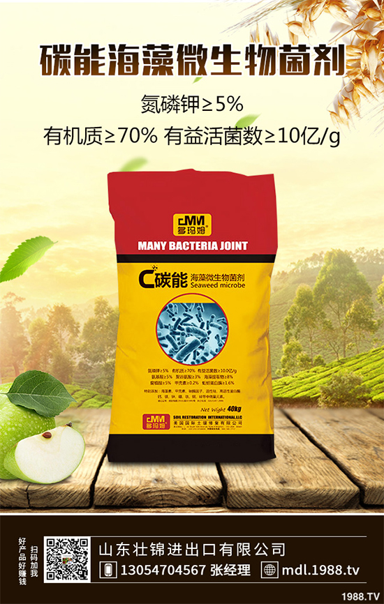 ���[�ϰ߲�����ЩΣ�������������������[�ϰ߲��ķ��δ�ʩ