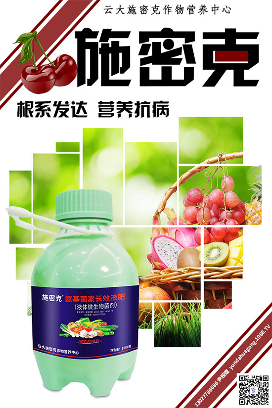 ���[˪ù��Σ���޴����������������ģ����[˪ù�����δ�ʩ