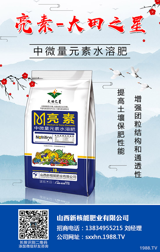 �＾�߲�����������＾���õ������С���������g(sh��)��