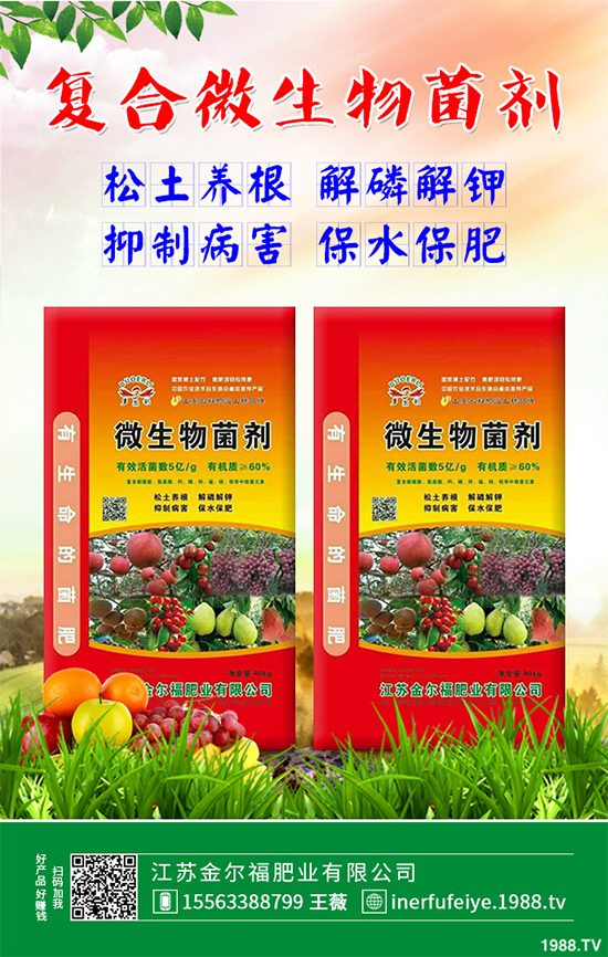 �㶹ʲô�r(sh��)��Nֲ��ԓ��ô�N���㶹�Nֲ�r(sh��)�g���Nֲ���g(sh��)Ҫ�c(di��n)