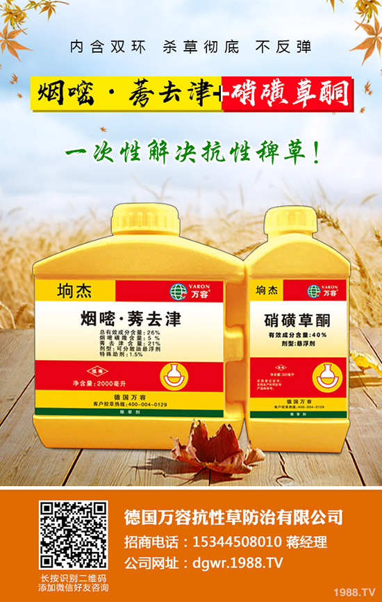 ��������ô�޽���������޽ӷ�����