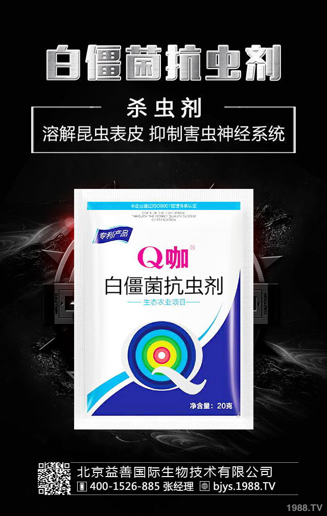 �¼����x����ô�������¼����x�����μ��\