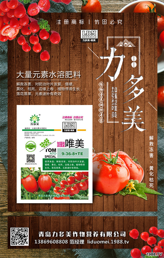 �㶹ԓ��ô�N���㶹�Ĳ��N�������Nֲ�������g