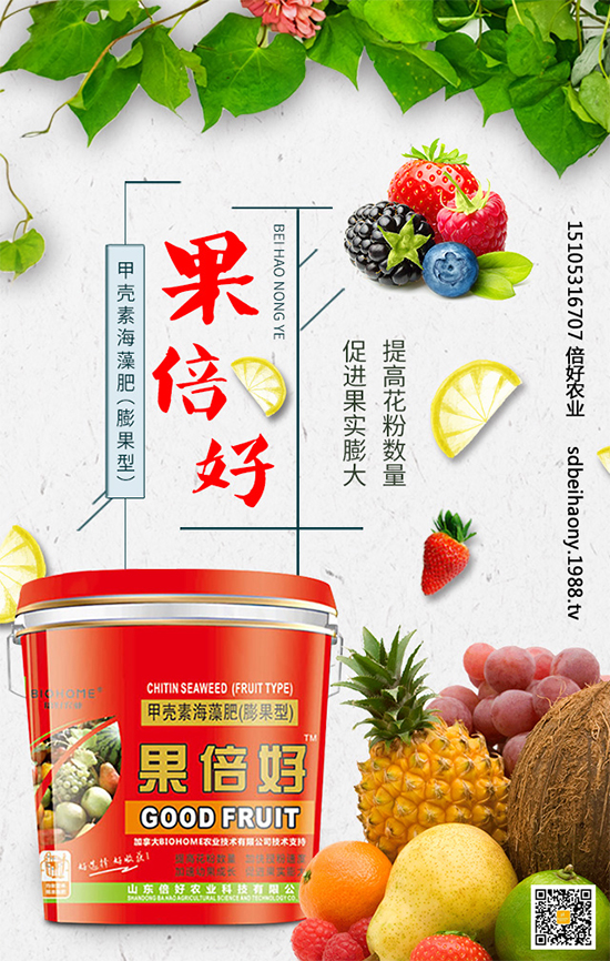 ʥŮ��ʲô�r�g�Nֲ��ʥŮ���Nֲ���g(sh��)Ҫ�c(di��n)����Щ��