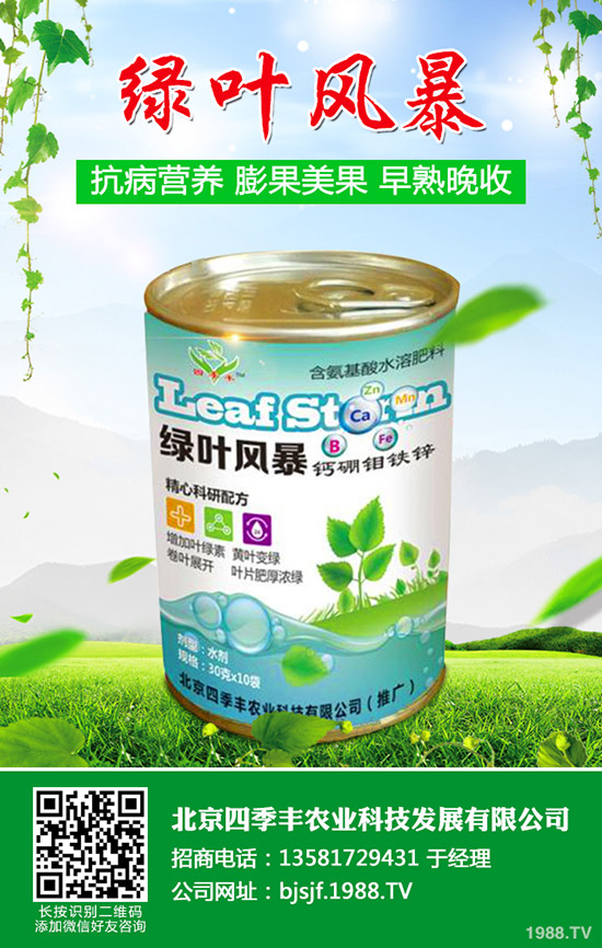 ����ʲô�r(sh��)��Nֲ�������ϵķNֲ�r(sh��)�g�ͷ�����