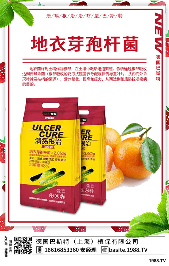 �t��̦��ô�N���t��̦�ķNֲ�r�g���Nֲ������