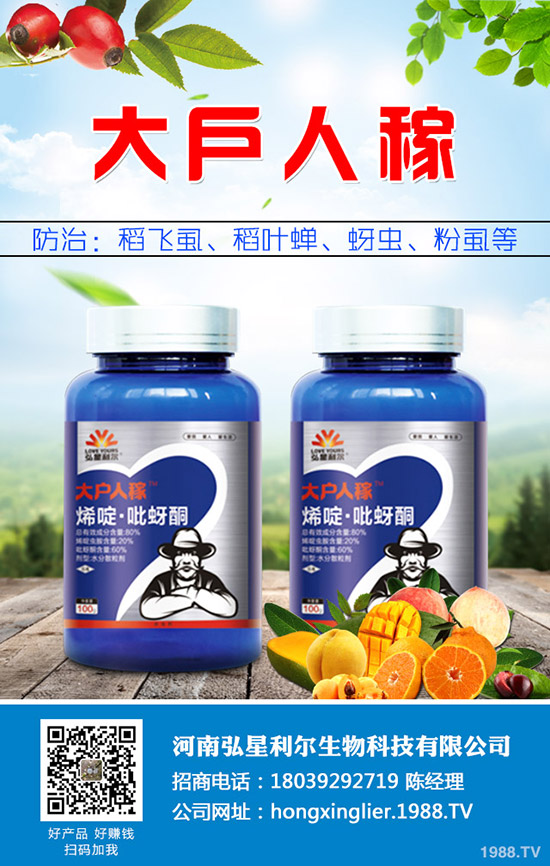 ���[�Nֲ��Ҫ��ô���������[�Nֲ�������g(sh��)Ҫ�c(di��n)��