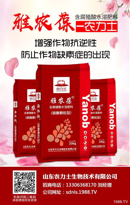     2019��9��27�ս��Շ���(n��i)���؃r(ji��)���߄�(sh��)���������u(p��ng)