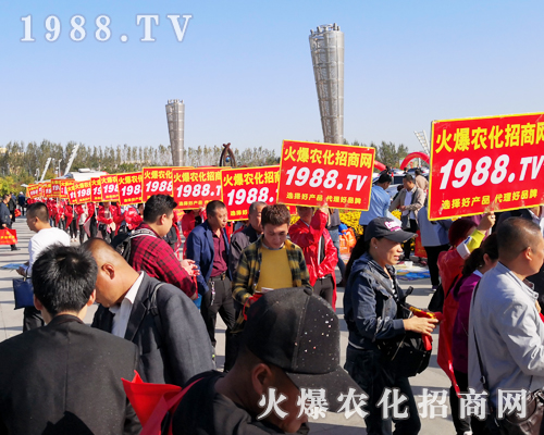 ���r(n��ng)�����̾W(w��ng)ʢ�b����2019��ʮ�����L��ֲ������