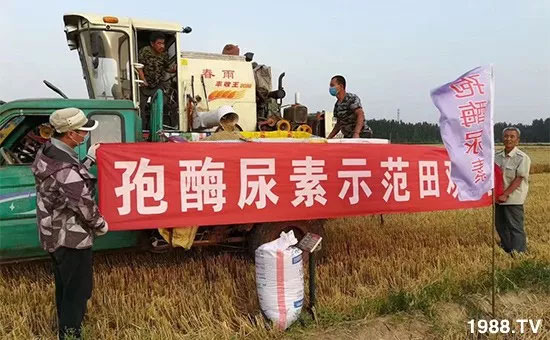 �ٿ���С�����a(ch��n)1471�����pø����ȫ�����������߮a(ch��n)������֮�o����