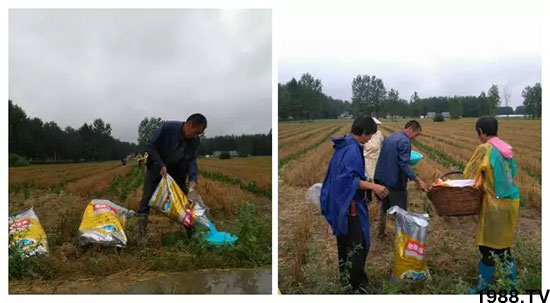 �ٿ���С�����a(ch��n)1471�����pø����ȫ�����������߮a(ch��n)������֮�o����