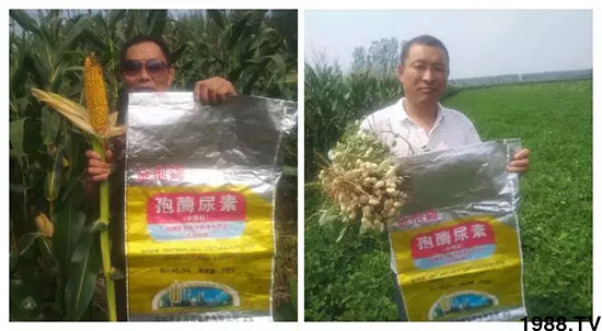 �ٿ���С�����a(ch��n)1471��pø����ȫ�����������߮a(ch��n)������֮�o����