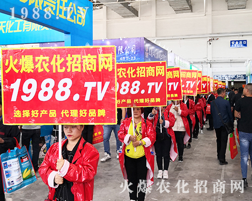 2019�L��ֲ���������r(n��ng)���W(w��ng)�����ƏV�ݲ��ɓ���