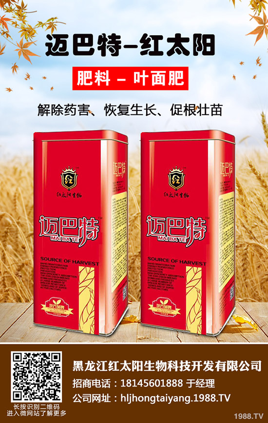 �������K��ʲô��̎�����K�������c��Ч��