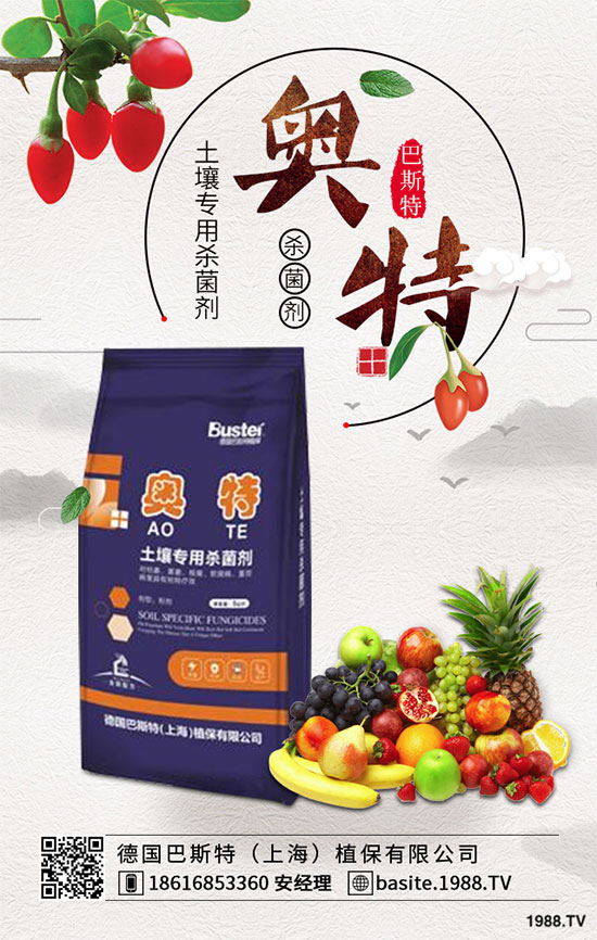 花椰菜出現(xiàn)“散花”怎么辦?花椰菜散花預防措施!