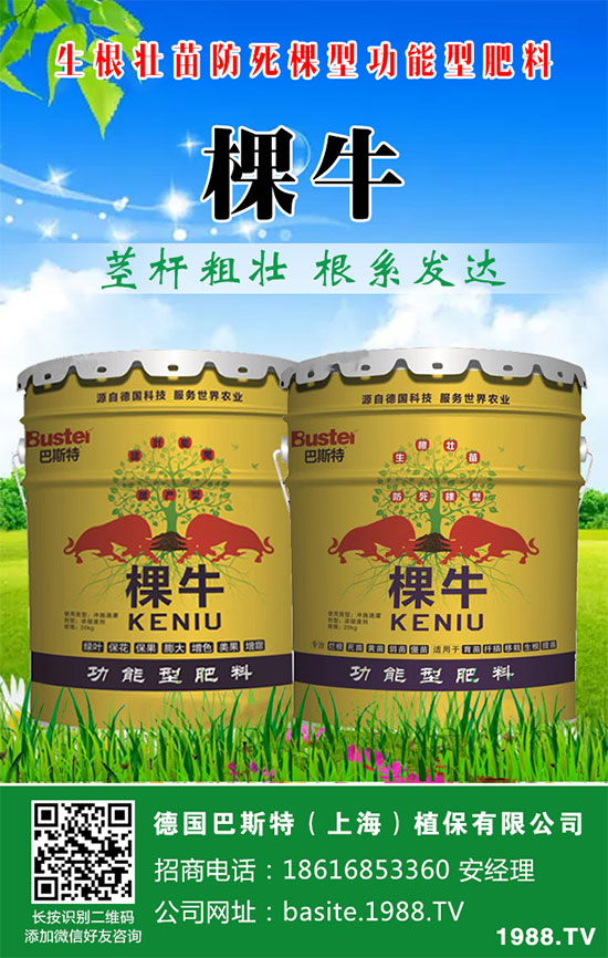 ���[���ʩ�ʣ����[�ƌW������ʩ�ʷ�����