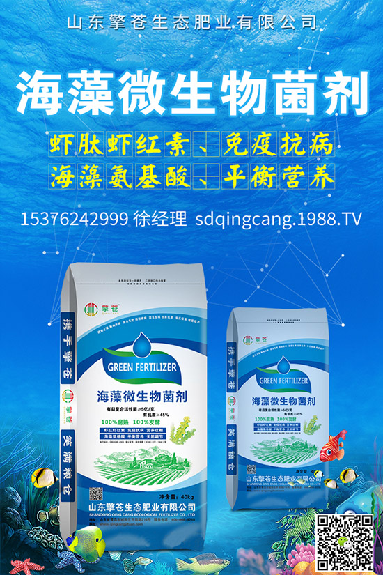     �ﶬ�}����ô�Nֲ���ﶬ�}�����N�r(sh��)�g�����g����������