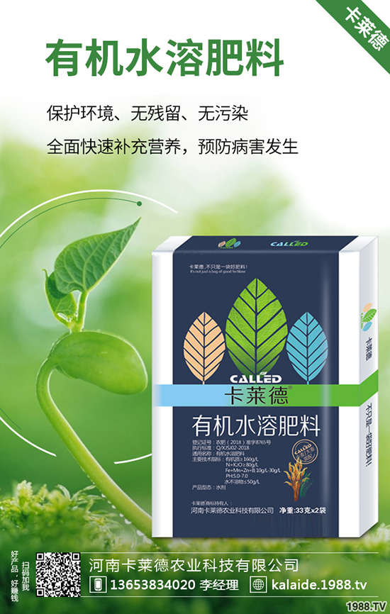 �G�}�L��̫�L��ô�k���G�}���޼���������Щ��