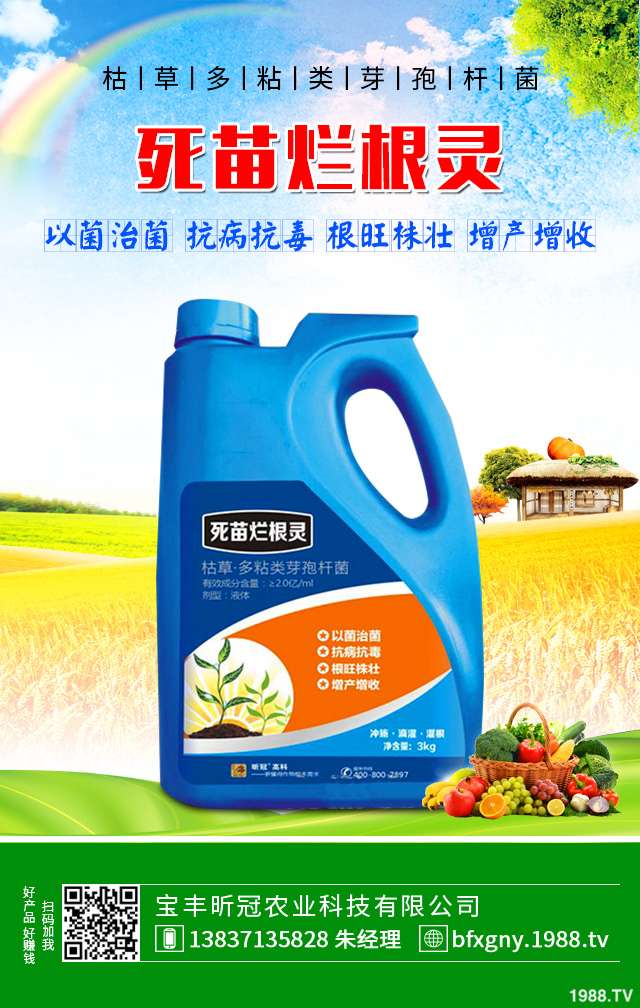 �۲˺��ĸ�����ô�������۲˺��ĸ���Ҫ���Y����