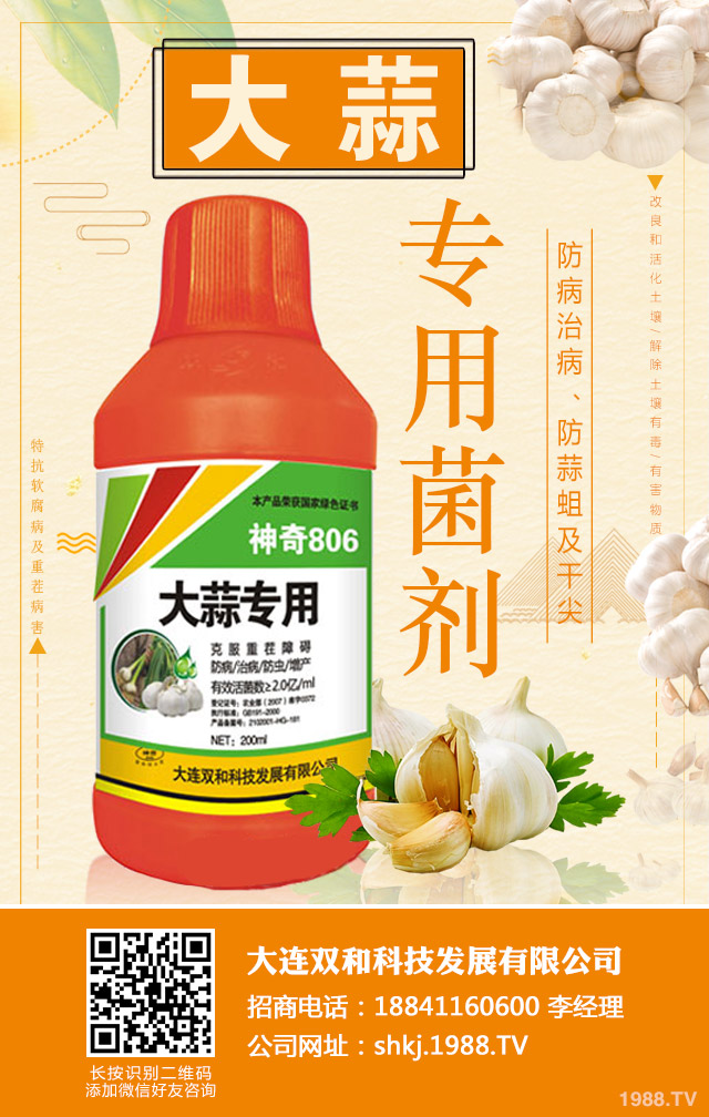 �����ز粡����η����������ز粡�����μ���