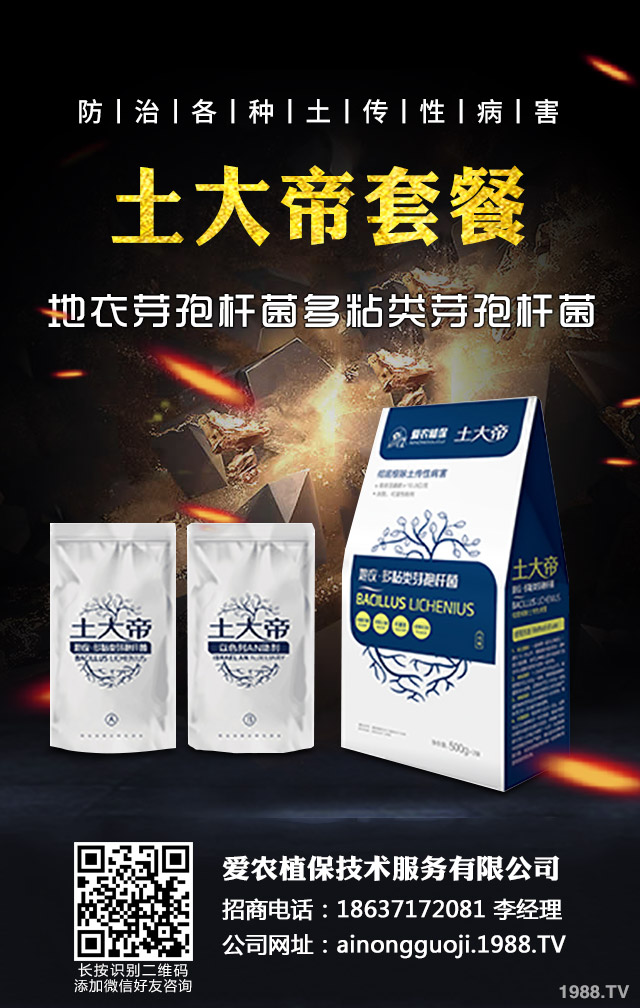 �ﲥС����ô����|(zh��)�����ﲥС������|(zh��)����Ҫ�c(di��n)