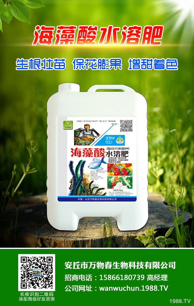 �ﲥС����ô����|(zh��)�����ﲥС������|(zh��)����Ҫ�c(di��n)