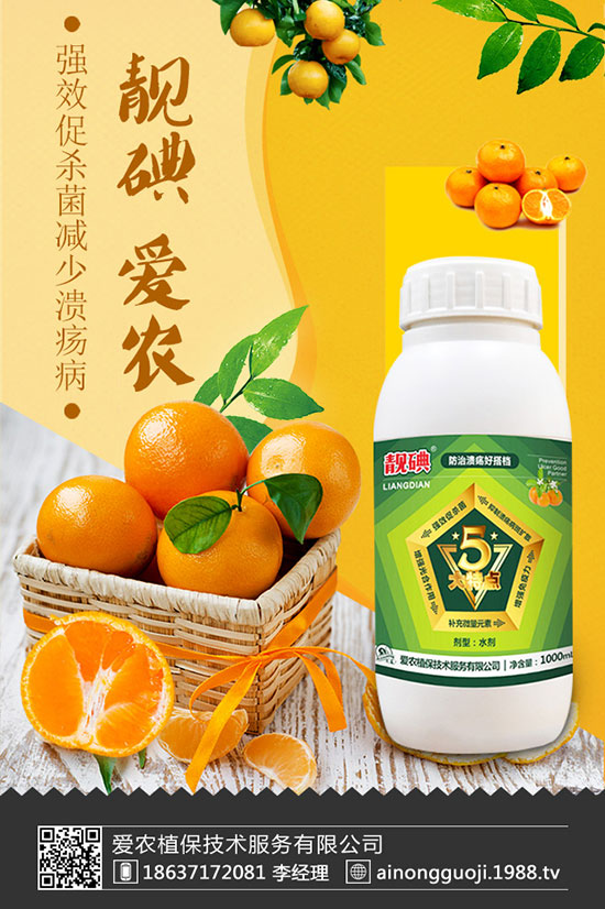 ���m����ηNֲ�����m���Nֲ�r�g��������