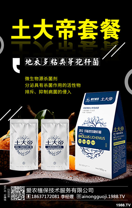 ���·ݿ��ԷNʲô�߲���2019��9���߲˷Nֲָ��!