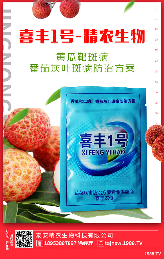 ���n������Щ��̎����Ҋ�n�ĵ�����