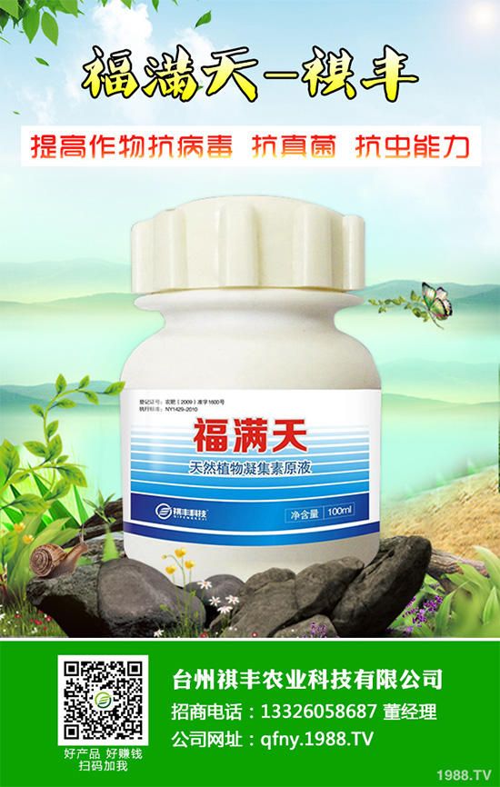 ���n������Щ��̎����Ҋ�n�ĵ�����