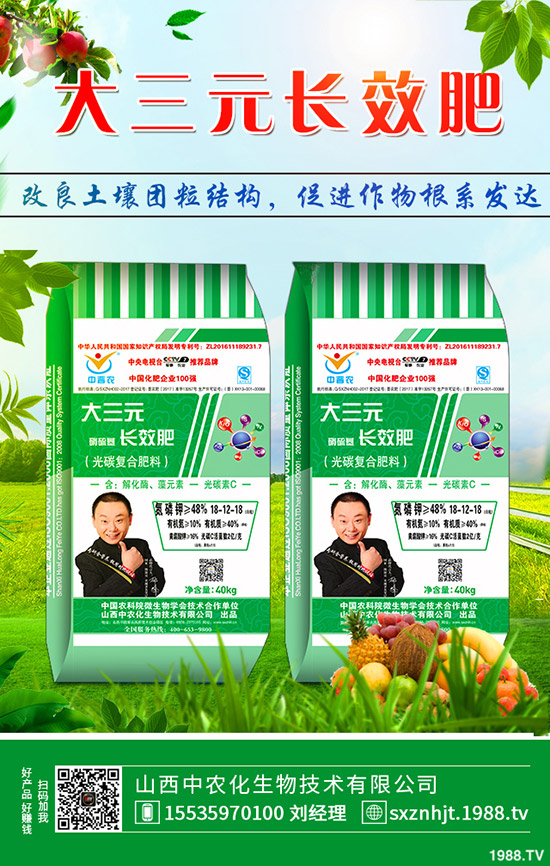     �＾���[��ι������＾���[�Nֲ�������������g��