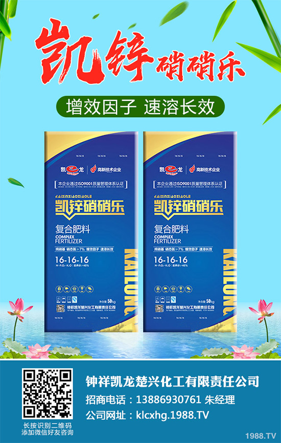     �n�ĺڰ߲�����ΰl(f��)����������ЩΣ�����n�ĺڰ߲����δ�ʩ