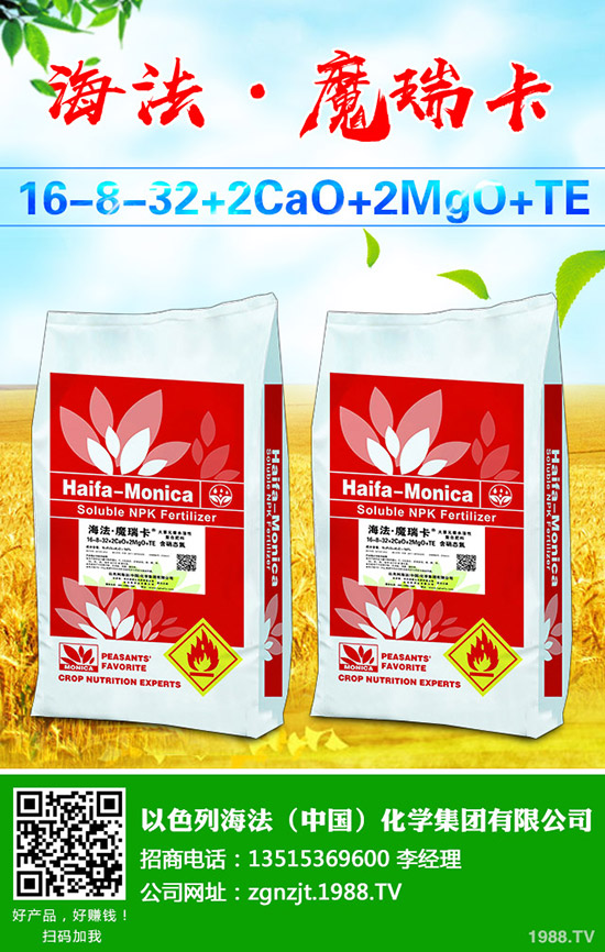     ���ڇ�(gu��)��(n��i)���@�r(ji��)���߄�(sh��)�����������A(y��)�y(c��)2019-9-6