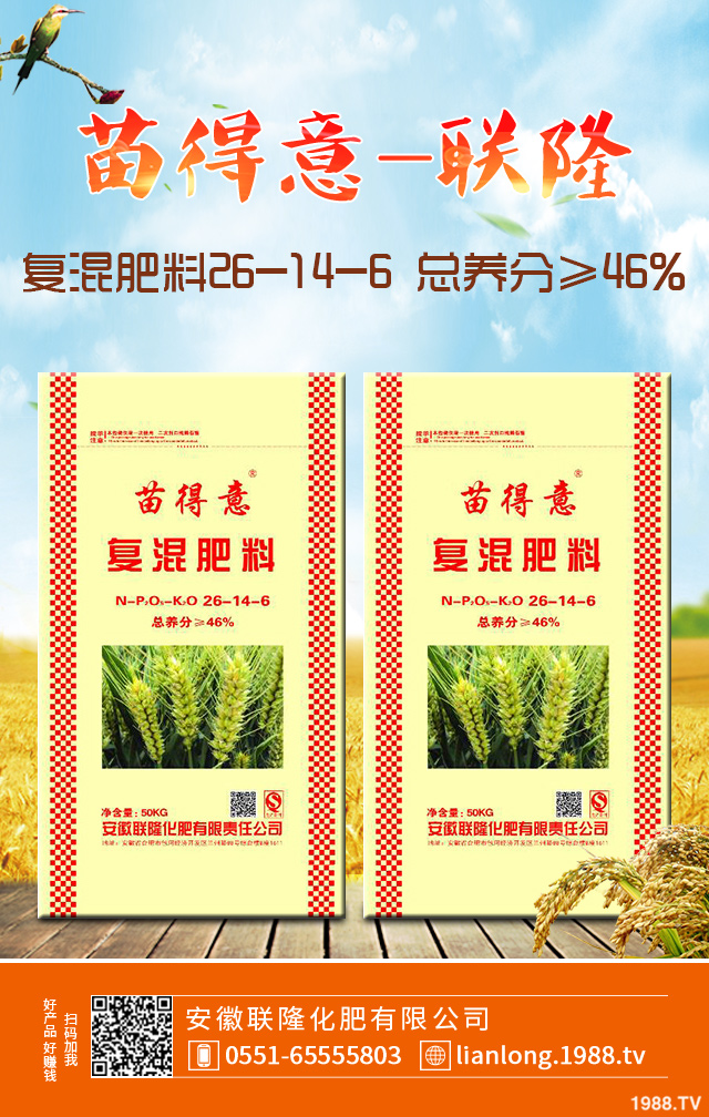 С����Ҋ������η�����С��������μ���