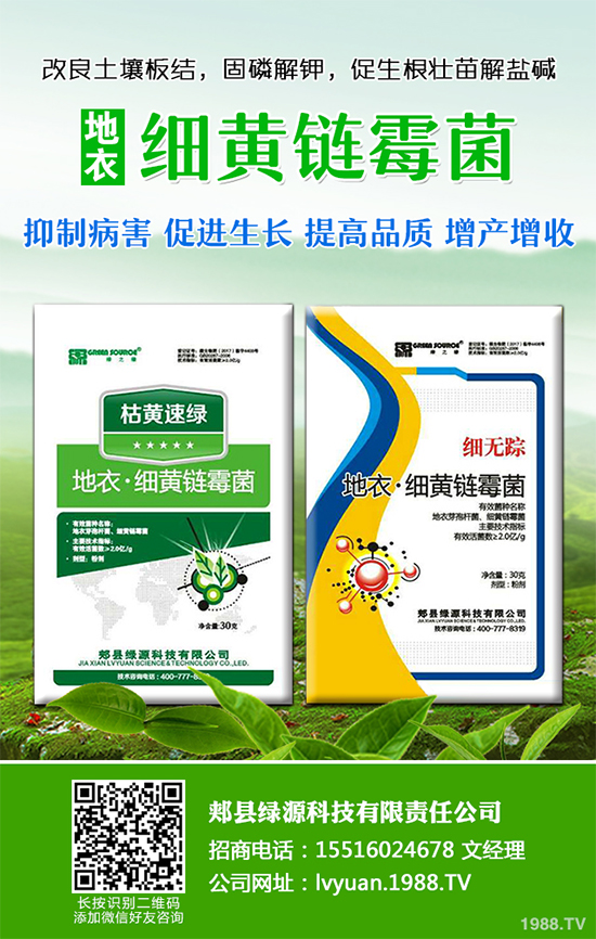 ���·Nʲô�߲˱��^����2019��9���߲˷Nֲָ��