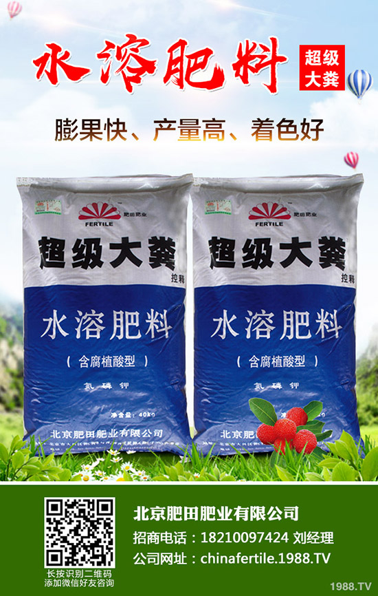 ��ݮ���˼t������������ô�k����ݮ�t�����������R�e�����ͷ�����