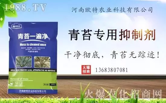 �������̦���������������Ƀ�����̦�oۙ��