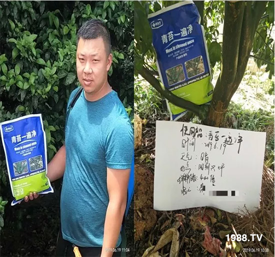 �������̦���������������Ƀ�����̦�oۙ��