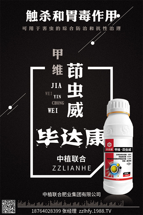 ���(sh��)���x(ch��ng)���r(ji��)��