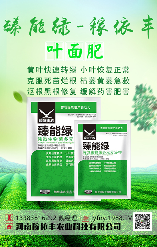 �n�Sʩ���з������n�S�Ĵ�ƌW(xu��)ʩ�ʼ��g(sh��)��