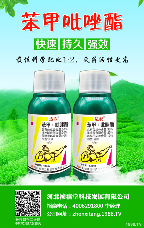 ����(sh��)�������r(ji��)��