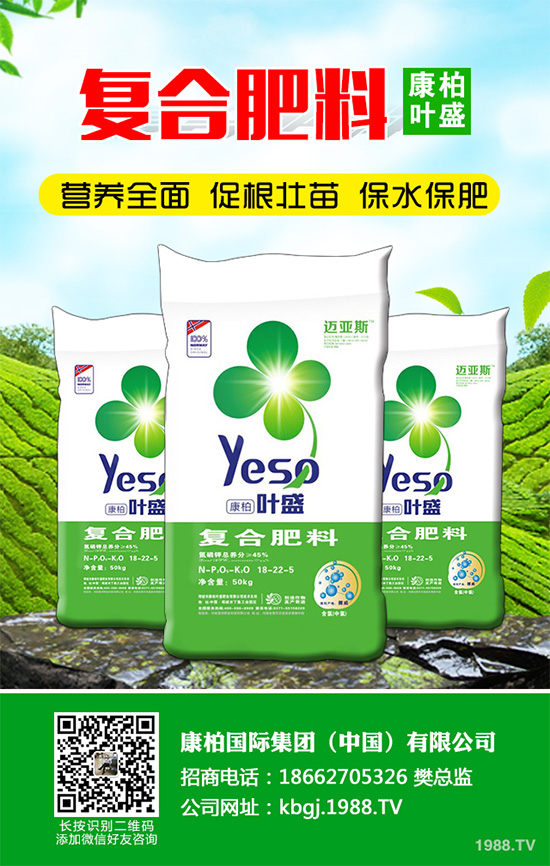 �۲˰߿ݲ�����ЩΣ���Y�����۲˰߿ݲ���Σ��������